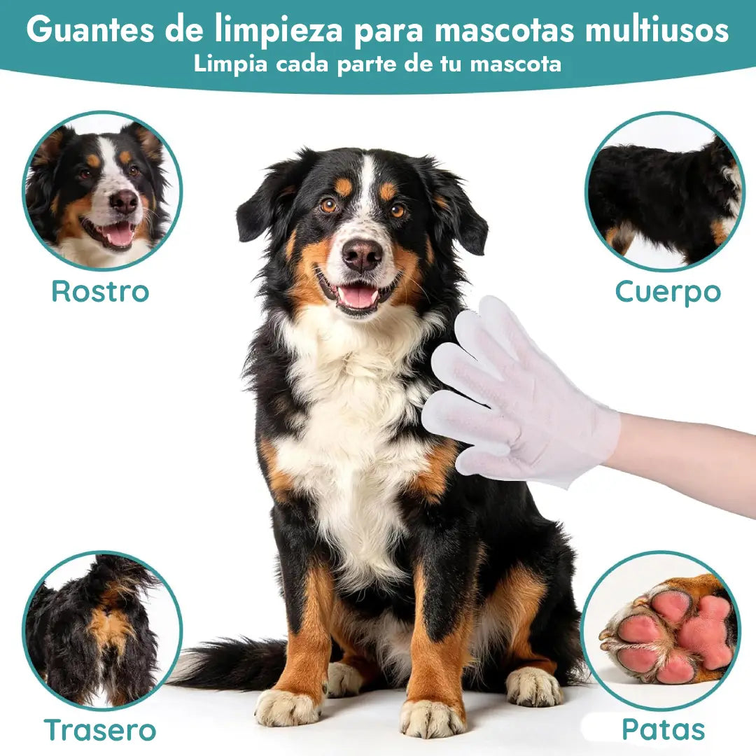 Guantes Premium Higiene Sin Estrés