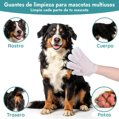 Guantes Premium Higiene Sin Estrés